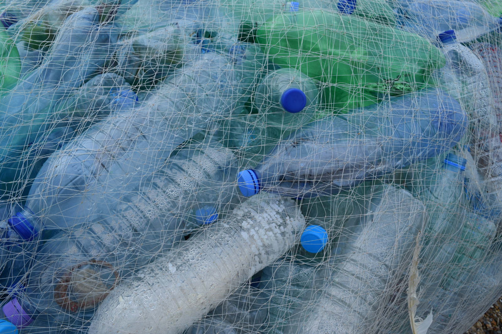 Image shows discarded plastic bottles in a plastic net.