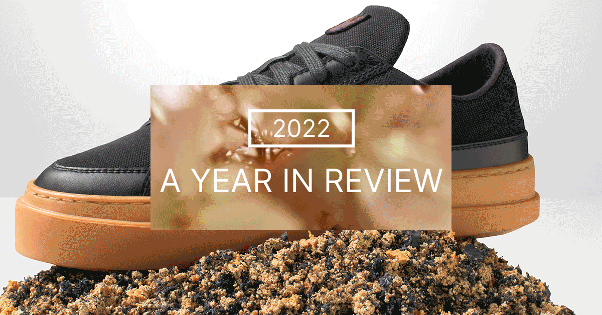 2022 A Year in Review